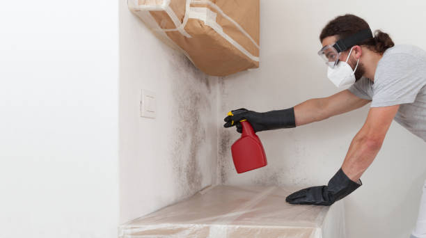 Professional Bathroom Mold Removal technician working in Cresson, TX