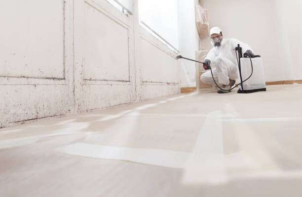 24/7 Emergency Bathroom Mold Removal experts in Cresson, TX